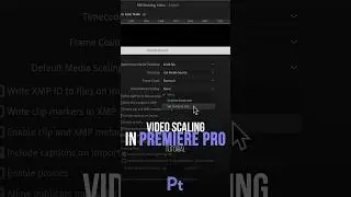 Auto Resize in Premiere Pro Trick