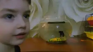 Питомцы деток конфеток. Рыбка-петушок Пинки. (Ребятки Котятки)
