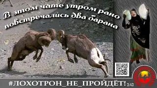 Два мошенника нашли друг друга. (Автор - Наталья Рамирес)