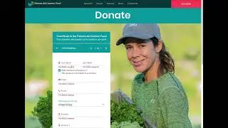 Wix Website Designer Tip: Donation Forms