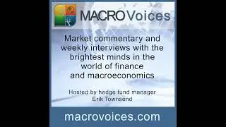 MacroVoices #443 Viktor Shvets: From Central Banks To Assets Classes To Geopolitics & More