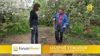 Посадка картофеля. Советы от Андрея Туманова // FORUMHOUSE