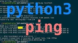 python3-ping, 16+ years of ping implementation in Python
