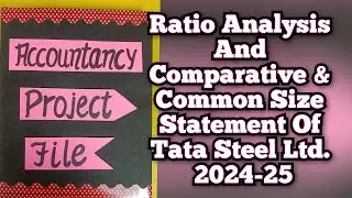 Ratio Analysis and Comparative & Common Size Statement Of Tata Steel Ltd. 2024-25 Class12th