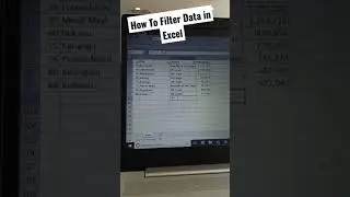 How to Filter Data in Microsoft Excel. 