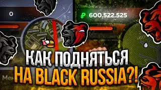 КАК ЛЕГКО ПОДНЯТЬСЯ и СТАТЬ БОГАТЫМ на BLACK RUSSIA