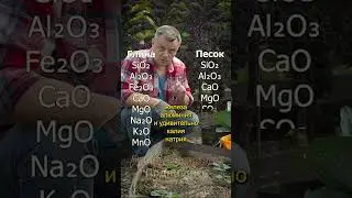 ЭТО многих БЕСИТ!!! Земля как хлеб Дачный агроном