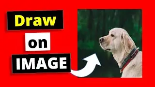 How to Insert and Draw on an Image in Google Docs