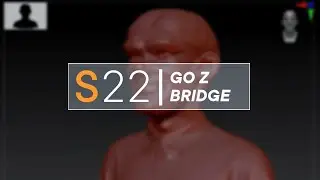 Cinema 4D S22 GoZ Bridge