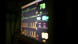 Choose Cardiac Physiology at the University of Leeds