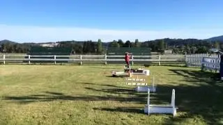 Speck Whippet - Flyball