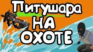 ПИТУШАРА ВЫШЕЛ НА ОХОТУ (CS:GO)