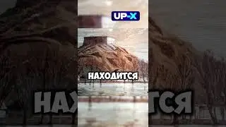 Основание ЧЁРНОГО ДЕЛЬФИНА #shorts