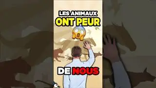 Pourquoi les ANIMAUX ont PEUR de nous ? 😨🦁