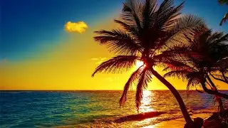 Beautiful Relaxing Peaceful Music, Calm Music 24/7, "Tropical Shores" By Tim Janis