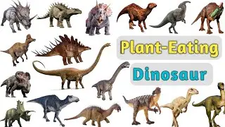 Dinosaur Vocabulary ll 40 Plant Eating Dinosaurs Name In English With Pictures ll Dinosaur Pictures