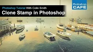 How to use the Clone Stamp tool in Photoshop | Photoshop Tutorial