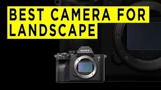 Best Cameras For Landscape Photography