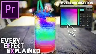 How to use Color Correction Effects in Adobe Premiere Pro (Every Effect Explained)