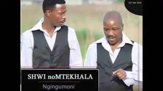 Amankwebevu utshwala besizulu by Shwi noMtekhala