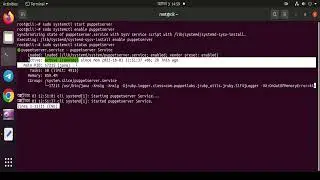 Ansible+Vagrant+Puppet Installation Remote Support On Any Linux