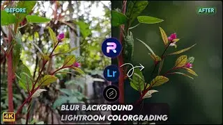 Blur Image Background | Mobile Photo Editing Tutorial | Lightroom Color Grading | PhotoRoom Editing