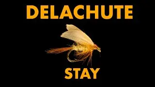 Delachute - Stay (Official Lyric video)