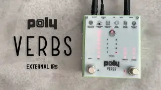 Poly Effects Verbs with External IRs