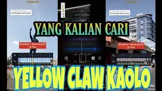 KUMPULAN VIDEO TIKTOK YELLOW CLAW KAOLO