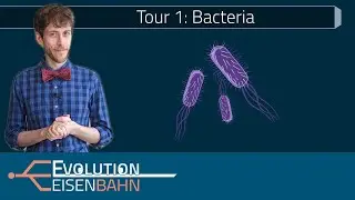 Tour 1: Bacteria – card deck with some of the most interesting species