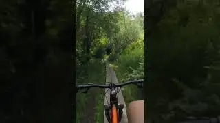 Very long boardwalk mountain biking #shorts #mtb #biking #mountainbiking