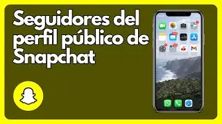 Cómo ver los seguidores del perfil público de Snapchat  IOS y Android