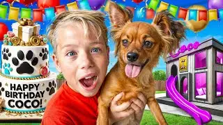 Happy Birthday Coco! Birthday Party Surprise for Pet