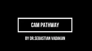 CAM pathway