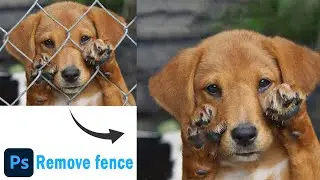 Remove fence in photoshop | Remove animal fence | Best Photoshoptricks | 