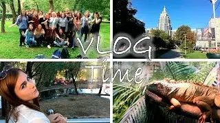VLOG | Фан-Встреча-Пикник, Зоопарк, Конец Лета 2016!