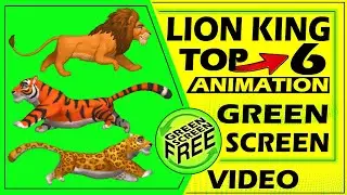 The lion King green screen HD video | tiger roaring green screen | green screen video