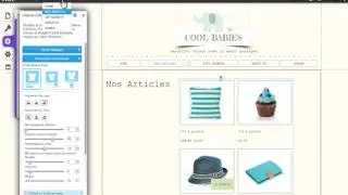 Comment Utiliser la Boutique en Ligne I Wix com