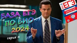 База ЕГЭ по биологии 2024 | Серия 4