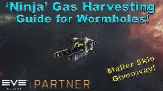 Eve Online - 'Ninja' Gas Harvesting Wormhole Guide 2021 for Alpha/Omega! Maller Scope Skin Giveaway!