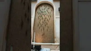 Стамбул. Hotel: 10 Karakoy