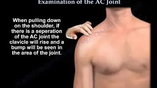 Examination Of The AC Joint - Everything You Need To Know - Dr. Nabil Ebraheim