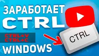 Что делать? Не работают клавиши: CTRL, CTRL+V, CTRL+ С  на клавиатуре - ПОМОГУ!