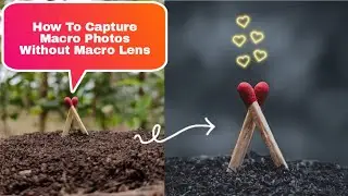 How To Capture Macro Photos Without Macro Lens |  Photo editing tutorials