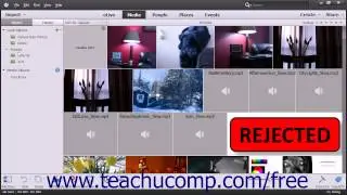 Photoshop Elements 13 Tutorial The Organizer Environment Adobe Training