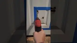 Guy professionally installs cat door.