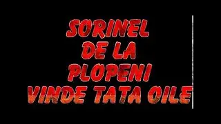 SORINEL DE LA PLOPENI    VINDE TATA OILE