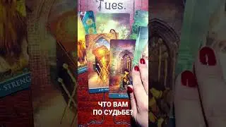 ЧТО ТЕБЕ ПО СУДЬБЕ ОЧЕНЬ СКОРО? 