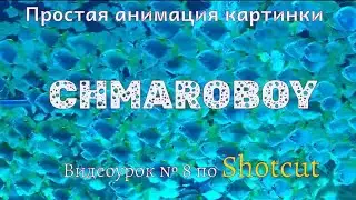 Простая анимации картинки в программе Shotcut.