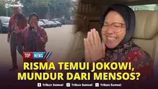 🔴Risma Temui Jokowi di Tengah Wacana Mundur dari Mensos, Pasrah Maju Pilgub Jatim Disuruh Megawati